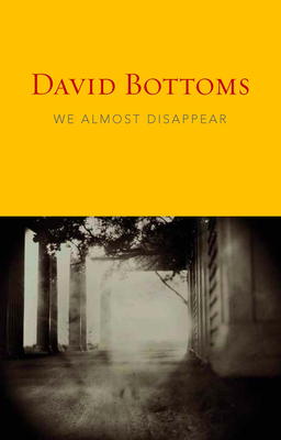 Cover for We Almost Disappear
