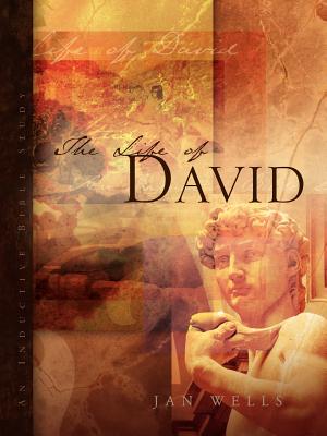 The Life of David Cover Image