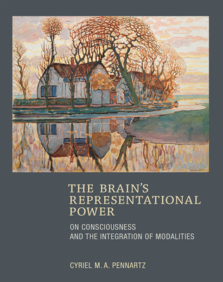 The Brain's Representational Power: On Consciousness and the Integration of Modalities