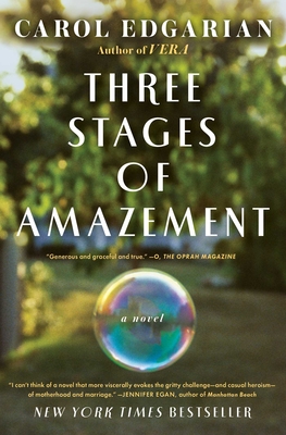 Cover Image for Three Stages of Amazement