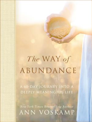 Cover for The Way of Abundance