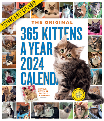 365 Kittens-A-Year Picture-A-Day Wall Calendar 2024: Absolutely Spilling Over With Kittens By Workman Calendars Cover Image