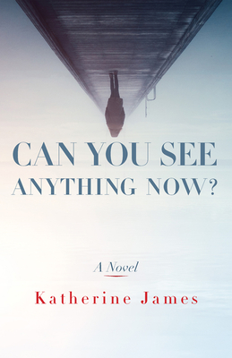 Can You See Anything Now?: A Novel (Paraclete Fiction)