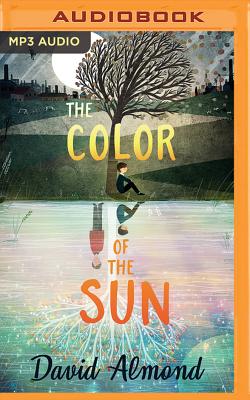The Color of the Sun Cover Image