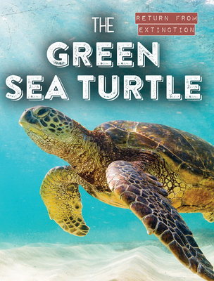The Green Sea Turtle, Book by Isabel Müller, Official Publisher Page