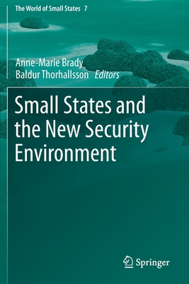 Small States and the New Security Environment (World of Small States #7)