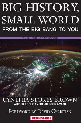 Big History, Small World: From the Big Bang to You Cover Image