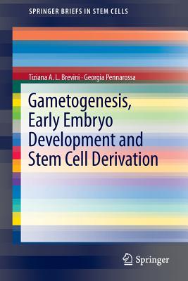 Gametogenesis, Early Embryo Development and Stem Cell Derivation (Springerbriefs in Stem Cells) By Tiziana A. L. Brevini, Pennarossa Georgia Cover Image