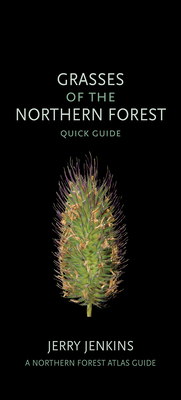 Grasses of the Northern Forest: Quick Guide (Northern Forest Atlas Guides) By Jerry Jenkins Cover Image