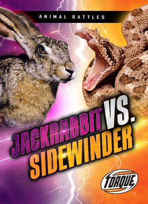 Jackrabbit vs. Sidewinder (Animal Battles)