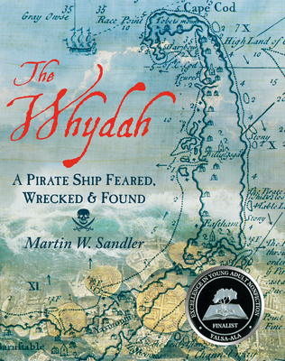 Golden Age Of Piracy, When Pirates Ruled The Waves?