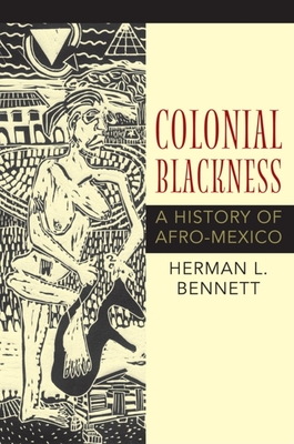 Colonial Blackness: A History of Afro-Mexico Cover Image
