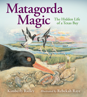 Matagorda Magic: The Hidden Life of a Texas Bay By Kimberly Ridley, Rebekah Raye (Illustrator) Cover Image