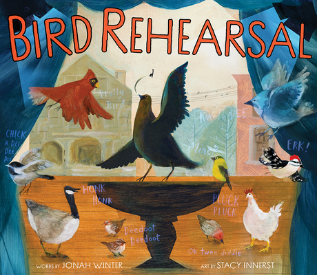 Bird Rehearsal: A Picture Book Cover Image