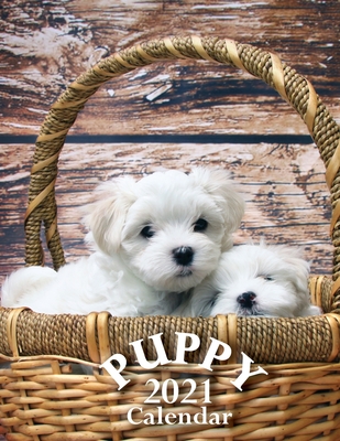 Puppy 2021 Calendar Cover Image