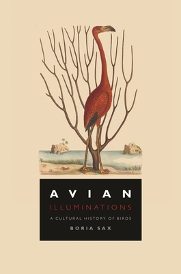 Avian Illuminations: A Cultural History of Birds By Boria Sax Cover Image