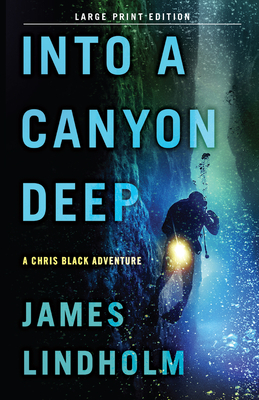 Cover for Into A Canyon Deep
