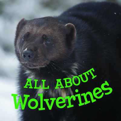 All about Wolverines: English Edition Cover Image