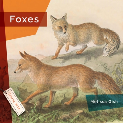 Foxes Cover Image