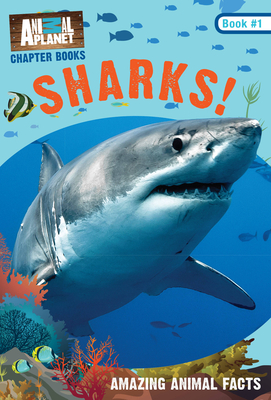 Sharks Animal Planet Chapter Books 1 Indiebound Org