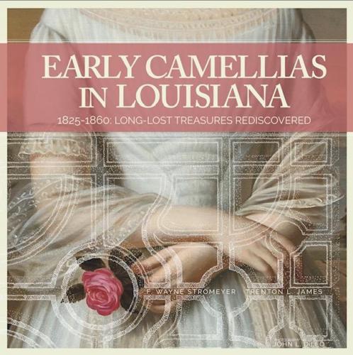 Early Camellias in Louisiana, 1825-1860: Long-Lost Treasures Rediscovered By F. Wayne Stromeyer, Trenton L. James, John L. DiLeo (Photographer) Cover Image