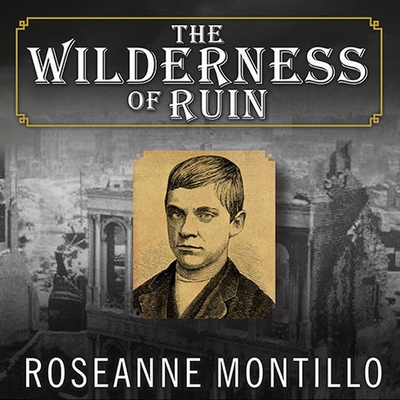 The Wilderness of Ruin: A Tale of Madness, Fire, and the Hunt for America's Youngest Serial Killer By Roseanne Montillo, Emily Woo Zeller (Read by) Cover Image