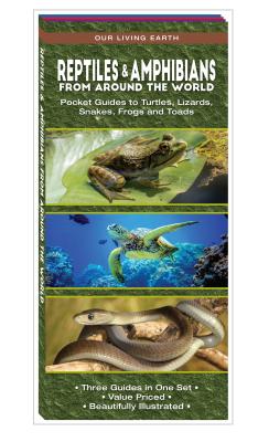 Reptiles & Amphibians from Around the World: Pocket Guides to Turtles, Lizards, Snakes, Frogs and Toads (Wildlife and Nature Identification)