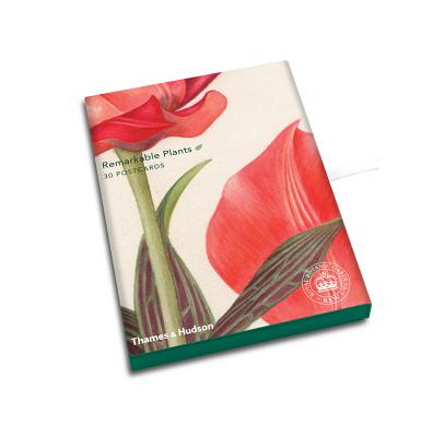 Remarkable Plants: Box of 30 Postcards (Thames & Hudson Gift)