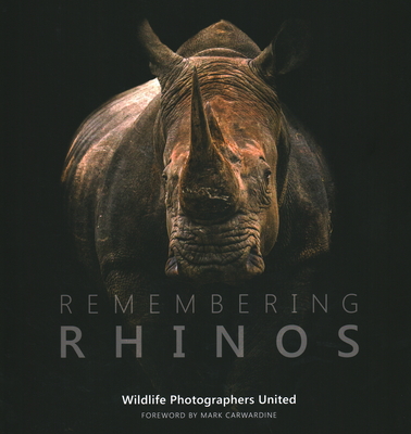 Remembering Rhinos By Margot Raggett Cover Image