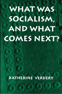 What Was Socialism, and What Comes Next? (Princeton Studies in Culture/Power/History)