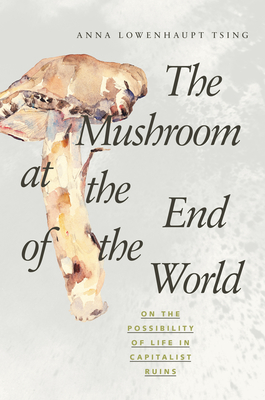 The Mushroom at the End of the World: On the Possibility of Life in Capitalist Ruins By Anna Lowenhaupt Tsing Cover Image
