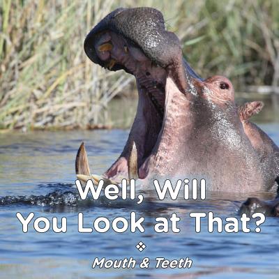 Well Will You Look at That? Mouth & Teeth By Brent A. Ford, Lucy McCullough Hazlehurst Cover Image