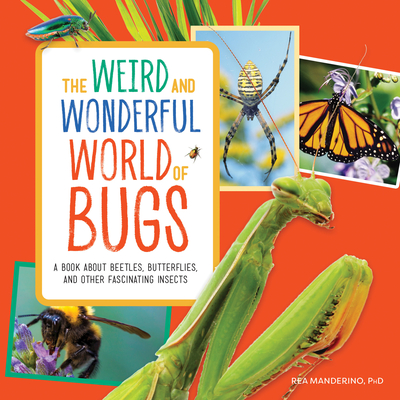 The Weird and Wonderful World of Bugs: A Book About Beetles, Butterflies, and Other Fascinating Insects Cover Image