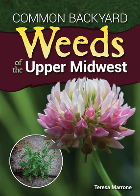 Common Backyard Weeds of the Upper Midwest By Teresa Marrone Cover Image