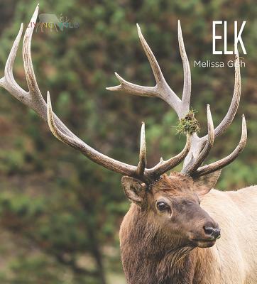Living Wild: Elk Cover Image