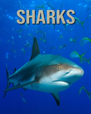 A Wonderful Sharks Book For Kids Aged 5