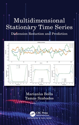 Multidimensional Stationary Time Series: Dimension Reduction and Prediction Cover Image
