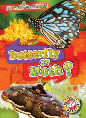 Butterfly or Moth? (Spotting Differences)