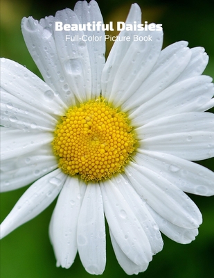 Beautiful Daisies Full-Color Picture Book: Flower Picture Book for  Children, Seniors and Alzheimer's Patients -Flowers Nature Gardening  (Paperback)