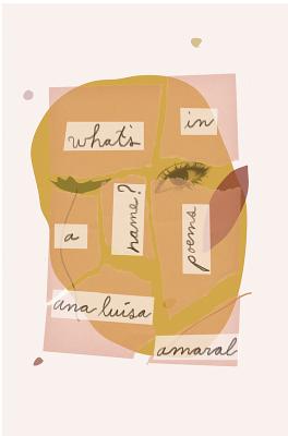 What's in a Name By Ana Luísa Amaral, Margaret Jull Costa (Translated by) Cover Image