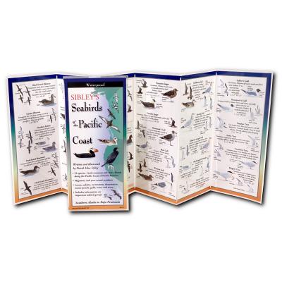 Sibley's Seabirds of the Pacific Coast (FoldingGuides)