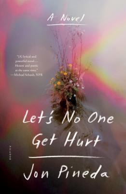 Let's No One Get Hurt: A Novel