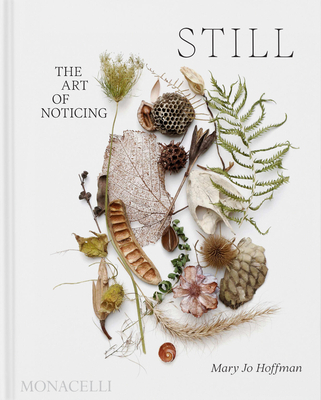 STILL: The Art of Noticing Cover Image