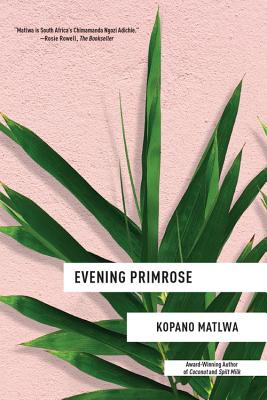 Evening Primrose By Kopano Matlwa Cover Image