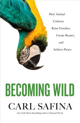 Becoming Wild: How Animal Cultures Raise Families, Create Beauty, and Achieve Peace Cover Image