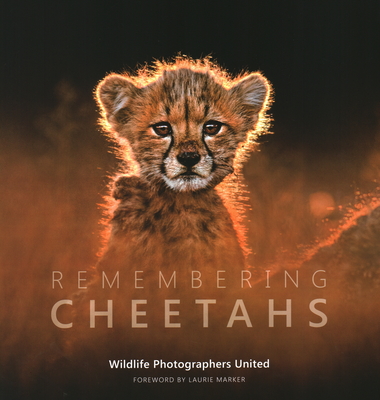 Remembering Cheetahs By Margot Raggett, Wildlife Photographers United, Laurie Marker (Foreword by) Cover Image
