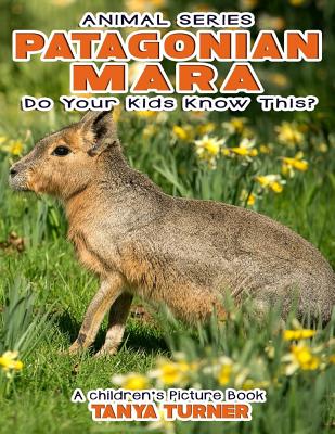 PATAGONIAN MARA Do Your Kids Know This?: A Children's Picture Book (Amazing Creature #29)