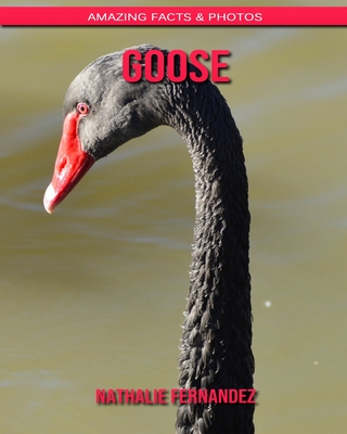 Goose: Amazing Facts & Photos Cover Image