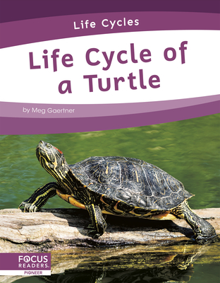 Life Cycle of a Turtle By Meg Gaertner Cover Image