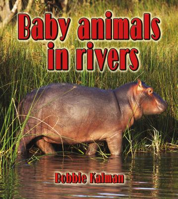 Baby Animals in Rivers (Paperback) | Hooked